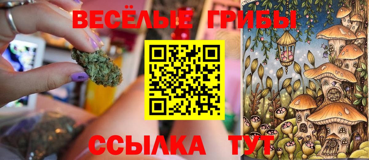 Псилоцибиновые грибы Magic Shrooms  Галлюциногенные грибы Psilocybine cubensis  Жигулёвск 