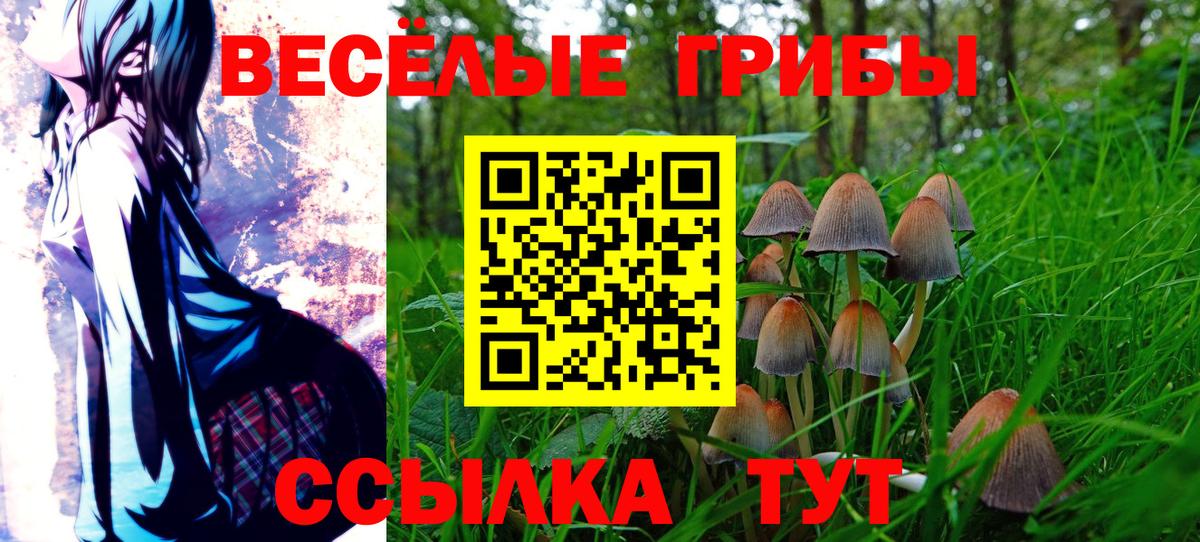 Галлюциногенные грибы мицелий  Вход с VPN  Жигулёвск  Галлюциногенные грибы прущие грибы 
